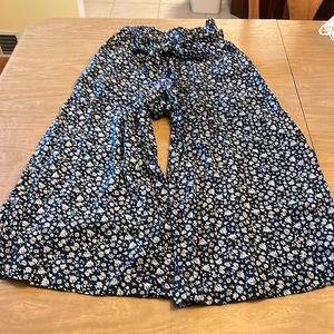 American eagle pants